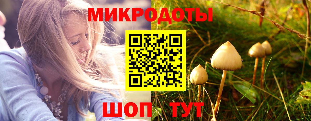 Псилоцибиновые грибы мицелий  Галлюциногенные грибы мицелий  Тара  Вход с VPN 
